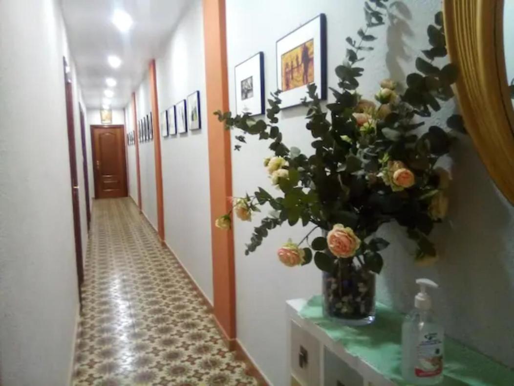 Las Golondrinas Habitacion En Piso Centrico Para Una O Dos Personas Saragossa Exterior foto